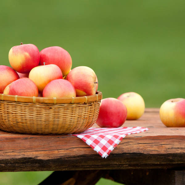 apples in basket on picnic table