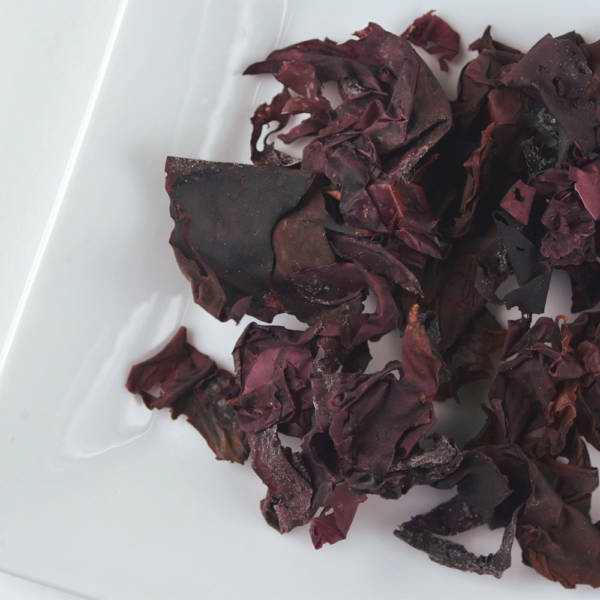 dulse pieces on white dish