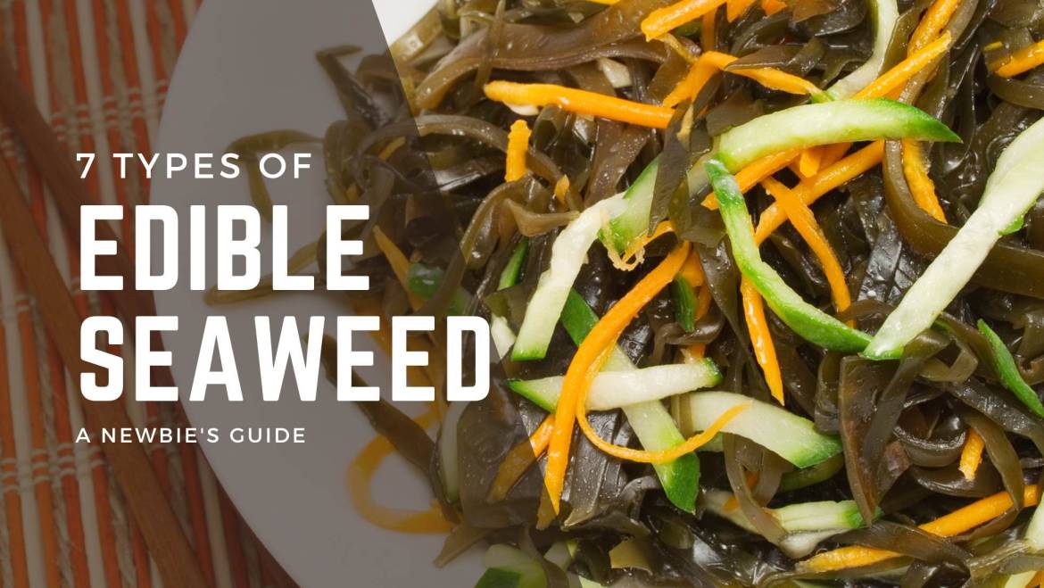 The Newbie’s Guide to 7 Different Types of Easy-to-Find Edible Seaweeds