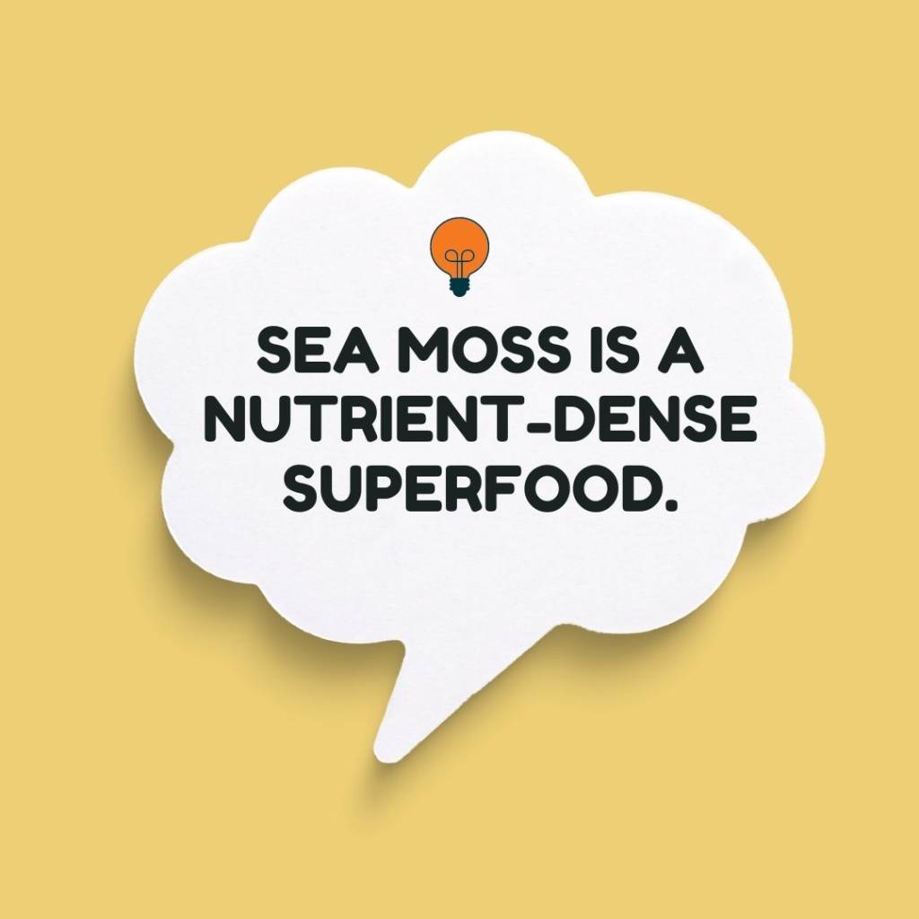 sea  moss is a super food. How much Irish sea moss to take?