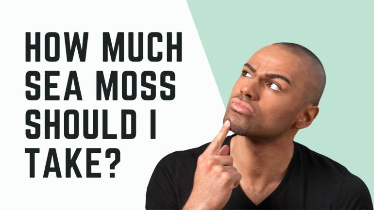 How Much Irish Sea Moss Should You Take? How Much is Too Much?